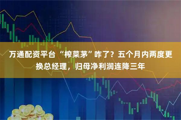 万通配资平台 “榨菜茅”咋了？五个月内两度更换总经理，归母净利润连降三年